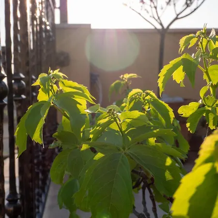 Art Sole Appartement