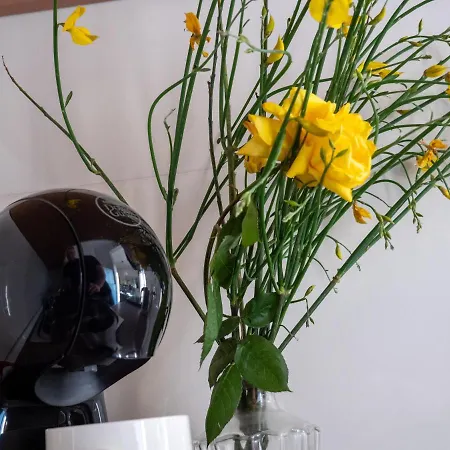 Art Sole Apartmán *