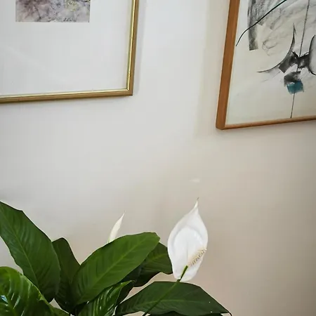 Art Sole Apartment Pula