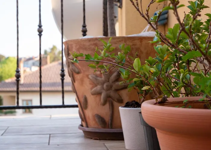 Art Sole * Πούλα