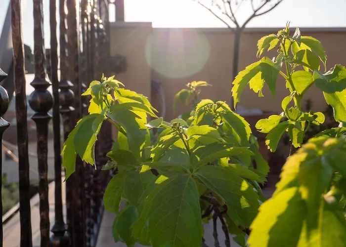 Art Sole Διαμέρισμα