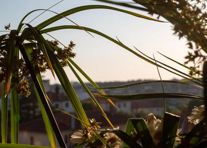 Διαμέρισμα Art Sole *