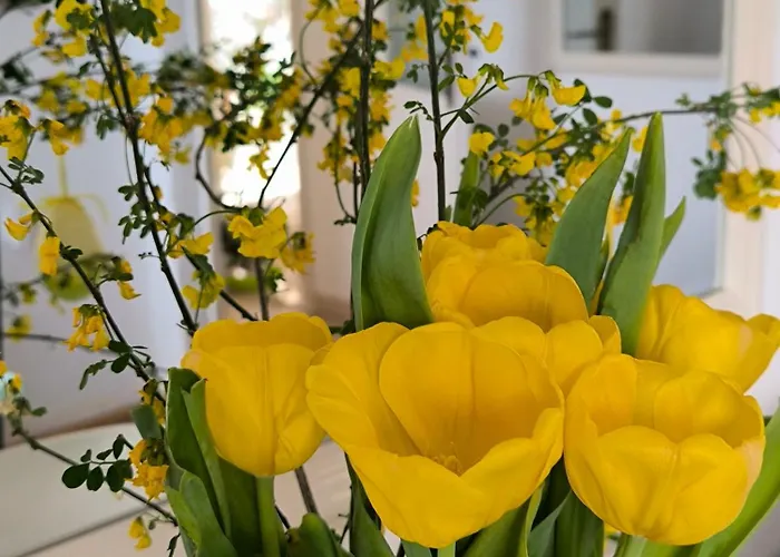 Art Sole Διαμέρισμα