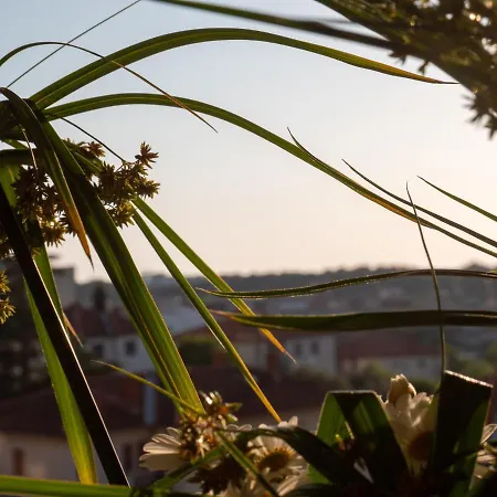 Appartement Art Sole *