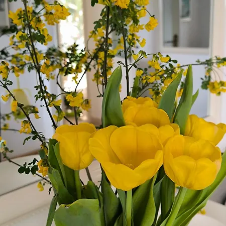 Art Sole Appartement