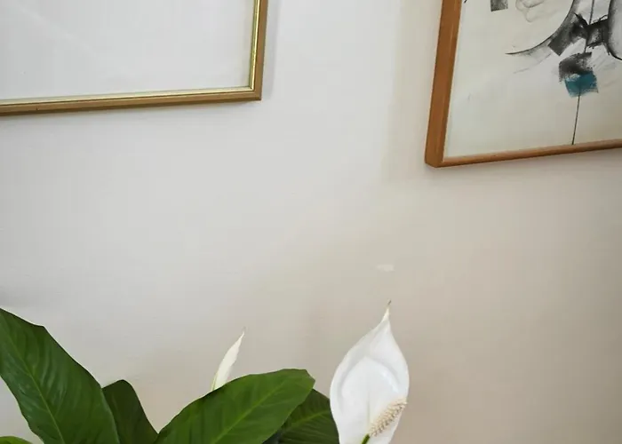 Art Sole Apartament Pula